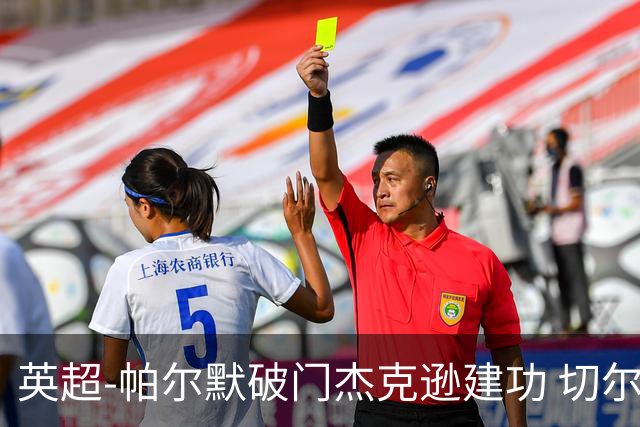 英超-帕尔默破门杰克逊建功 切尔西2-1纽卡斯尔